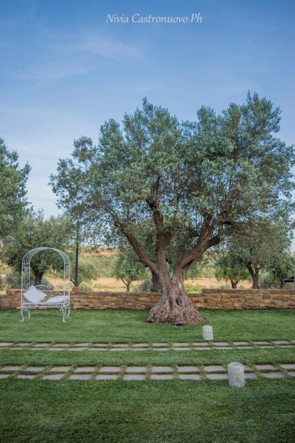 Villa D'Andrea Калтаджироне Екстериор снимка