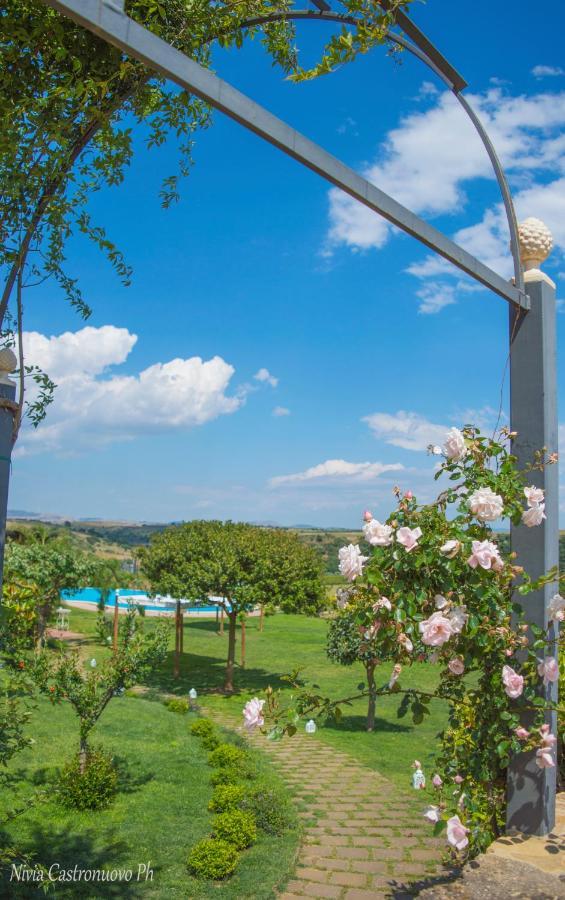 Villa D'Andrea Калтаджироне Екстериор снимка